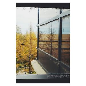 Image post by @perreauxphoto on Instagram