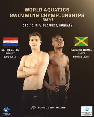 Image post by @purduemswimdive on Instagram
