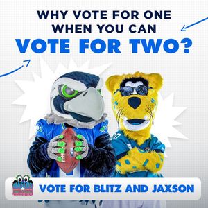Image post by @blitztheseahawk on Instagram