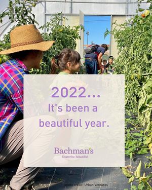 Image post by @shopbachmans on Instagram