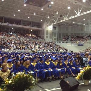 Image post by @hofstrau on Instagram