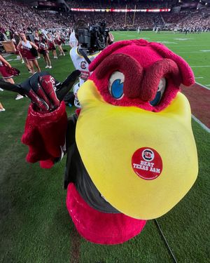 Image post by @uofscalumni on Instagram