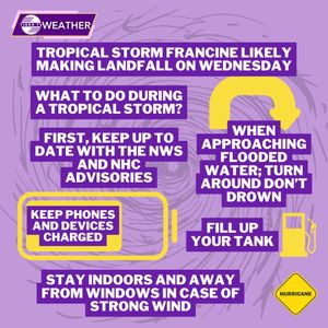 Image post by @lsutigertv on Instagram