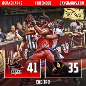 Image post by @jaxsharks on Instagram