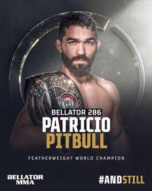 Image post by @bellatormma on Instagram