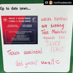 Image post by @walesnetball_ on Instagram