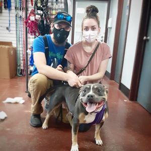 Image post by @spokhumanesoc on Instagram
