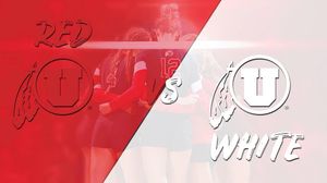Image post by @utahvolleyball on Instagram