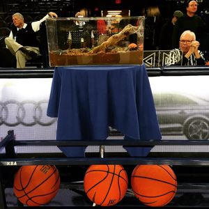 Image post by @spidermbb on Instagram