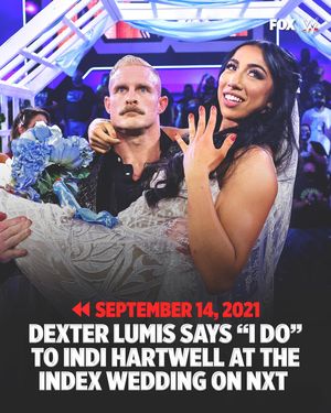 Image post by @wweonfox on Instagram