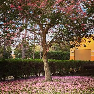 Image post by @rosencollege on Instagram