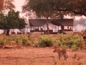 Image post by @chiawasafaris on Instagram
