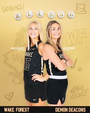 Image post by @WakeHockey on Twitter