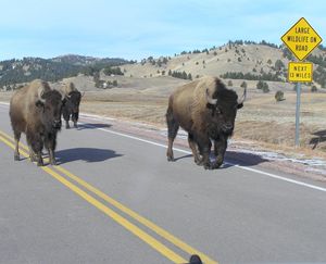 Image post by @nationalparkservice on Instagram