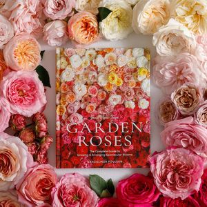 Image post by @rogersgardens on Instagram