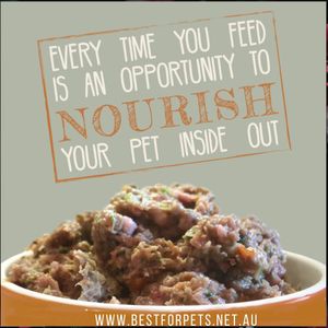 Image post by @bestforpetsmelb on Instagram
