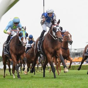 Image post by @australianturfclub on Instagram