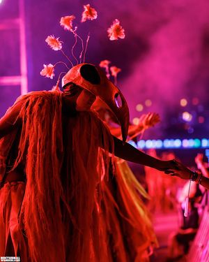 Image post by @nocturnalwland on Instagram