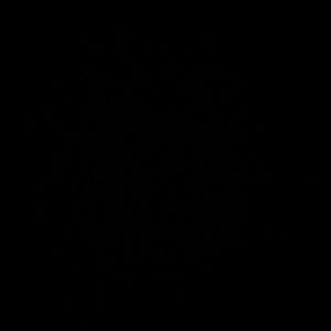 Image post by @yogabilityfit on Instagram