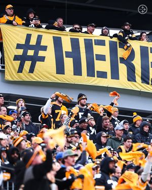 Image post by @steelers_nation_unite on Instagram