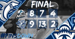 Image post by @ilmsharks on Instagram