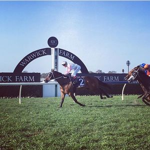 Image post by @australianturfclub on Instagram