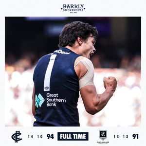 Image post by @carlton_fc on Instagram
