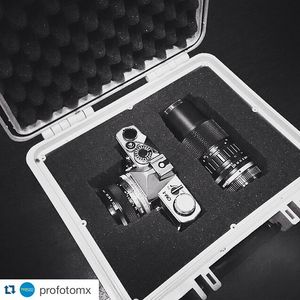 Image post by @seahorsecases on Instagram