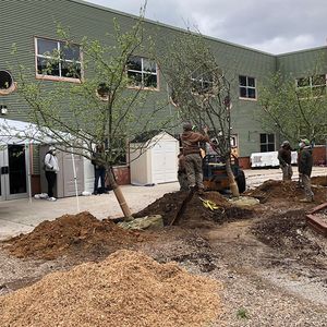 Image post by @kidsgardening on Instagram