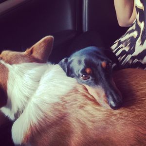 Image post by @mtzler on Instagram