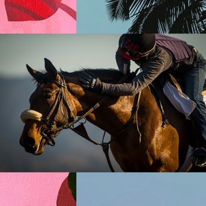 Image post by @pegasusworldcup on Instagram
