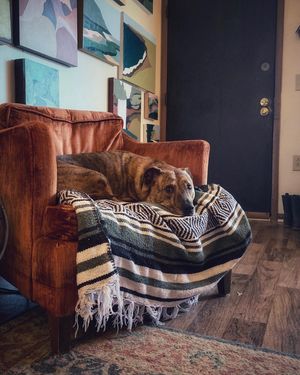 Image post by @davewphotography on Instagram