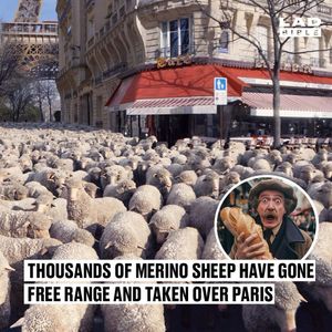 Image post by @ladbible on Instagram