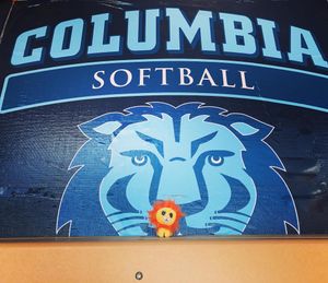 Image post by @culionssoftball on Instagram