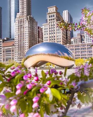 Image post by @chicago.explore on Instagram