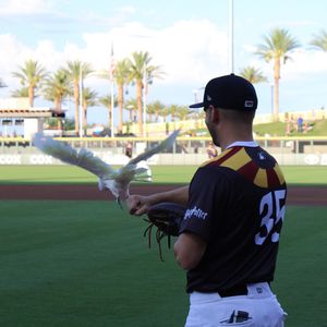 Image post by @aviatorslv on Instagram