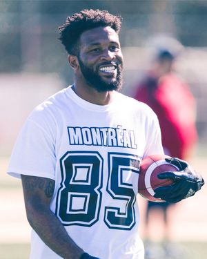 Image post by @mtlalouettes on Instagram