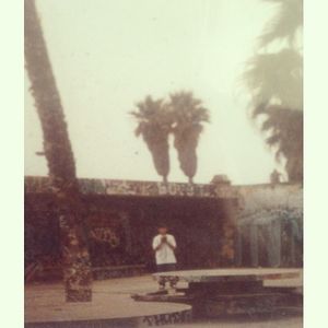Image post by @chrishaven on Instagram