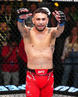 Image post by @ufc_brasil on Instagram