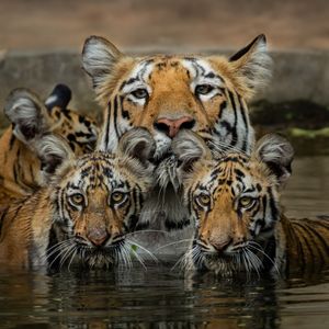 Image post by @discovery on Instagram