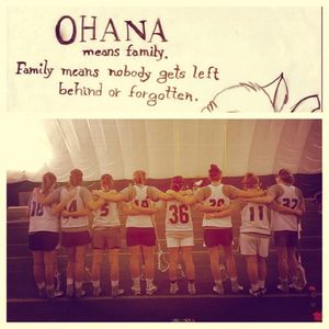 Image post by @hofstra_wlax on Instagram