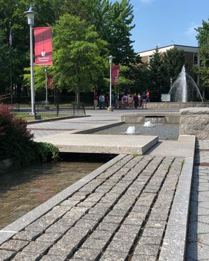 Image post by @stonybrooku on Instagram