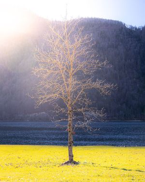 Image post by @cristan.nature.photography on Instagram