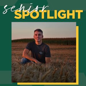 Image post by @ndsubusiness on Instagram