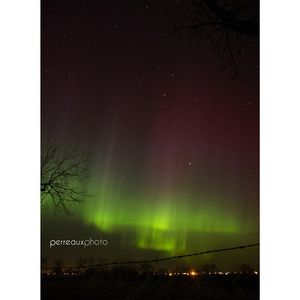 Image post by @perreauxphoto on Instagram