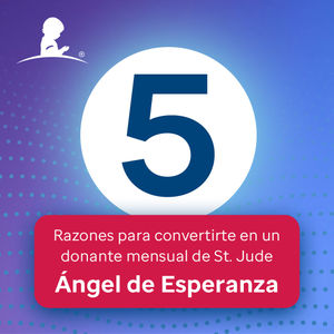 Image post by @univision23 on Instagram