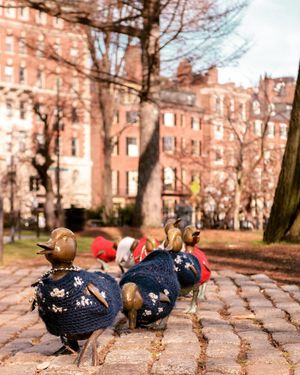 Image post by @caramooneyphoto on Instagram