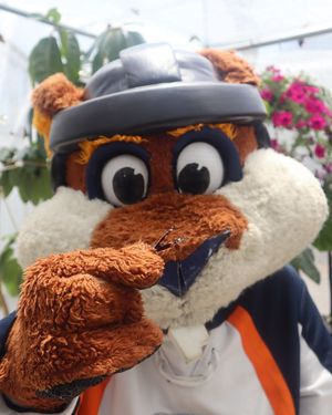 Image post by @stomperrabbit on Instagram