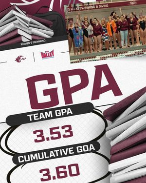 Image post by @siu_swimdive on Instagram