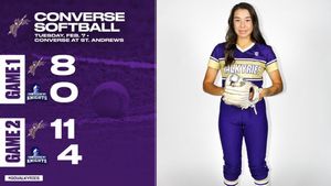 Image post by @valkyriessoftball on Instagram